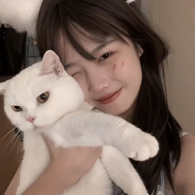 3733部族之光手游下载